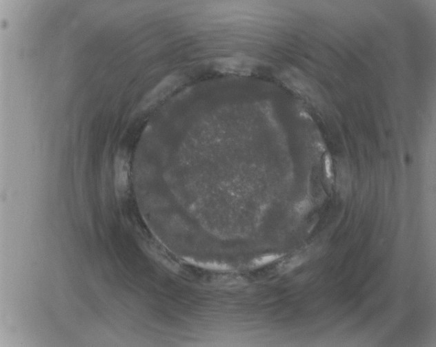 X0000083991154200703021932