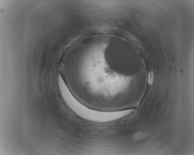 X0000083991155200703021932