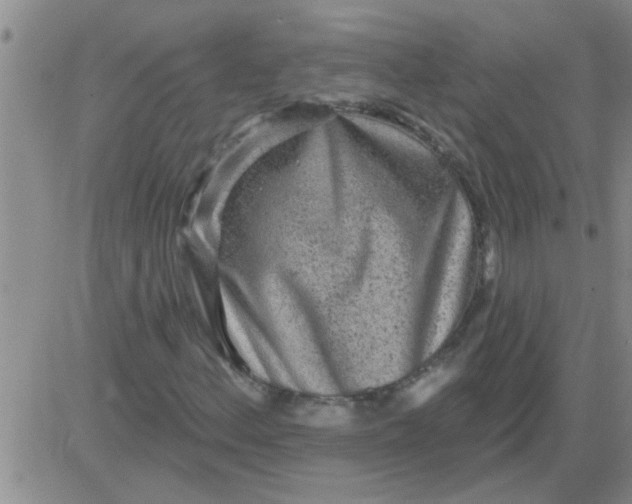 X0000083991156200703021932