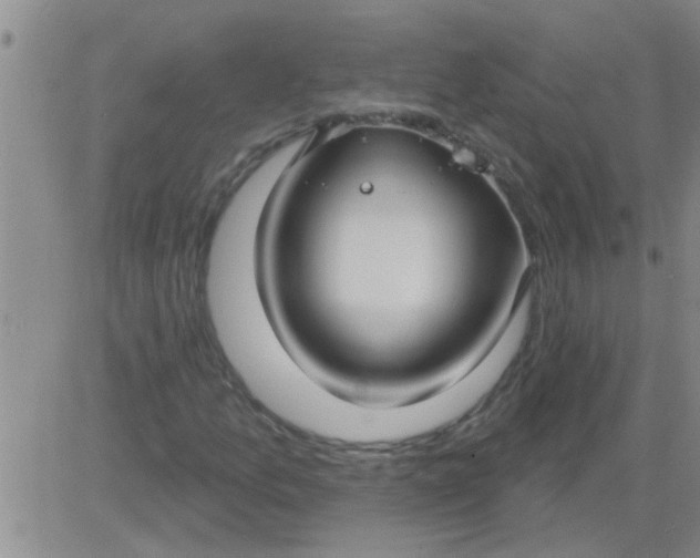 X0000083991157200703021932