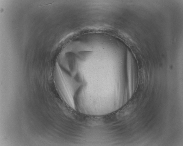 X0000083991158200703021932