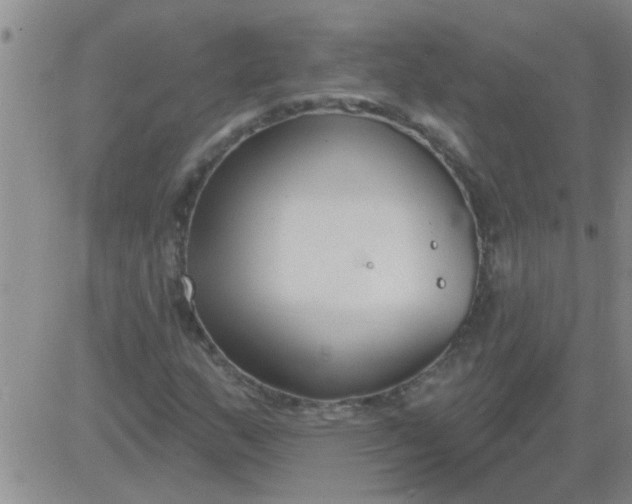 X0000083991159200703021932