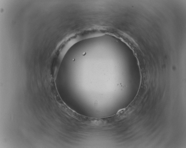 X0000083991160200703021932