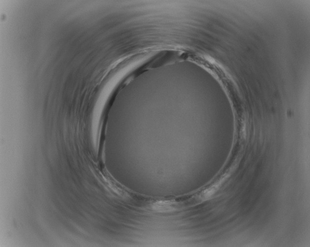 X0000083991161200703021932