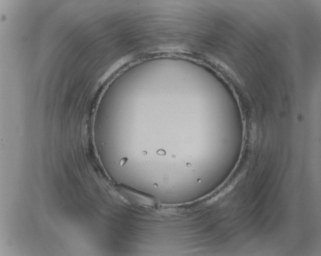 X0000083991162200703021932