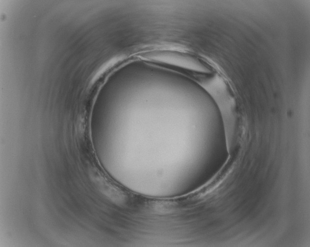 X0000083991163200703021932