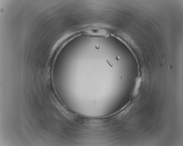 X0000083991164200703021932