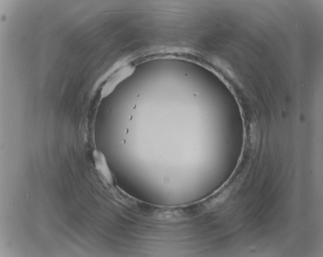 X0000083991165200703021932