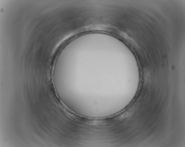 X0000083991166200703021932