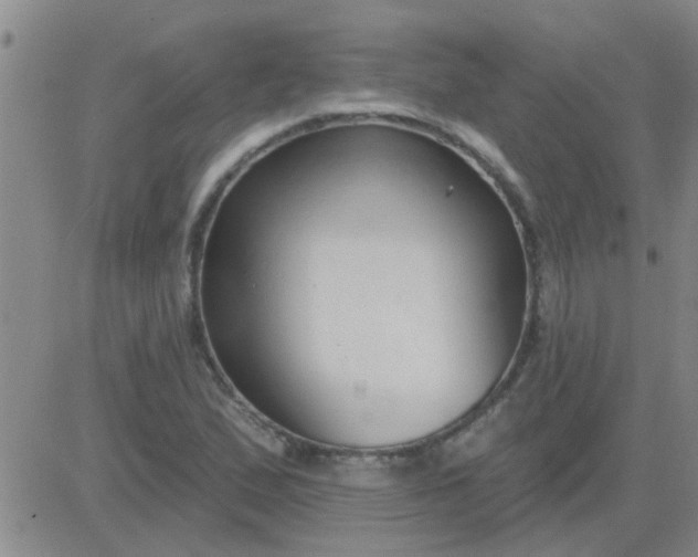 X0000083991167200703021932