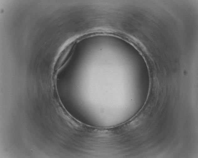 X0000083991168200703021932