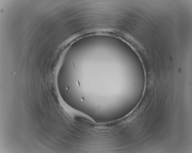 X0000083991169200703021932