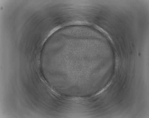 X0000083991170200703021932