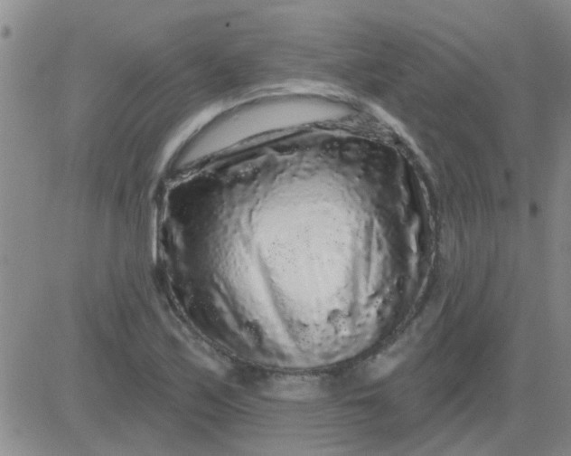 X0000083991171200703021931