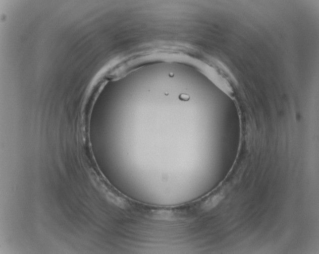 X0000083991172200703021931