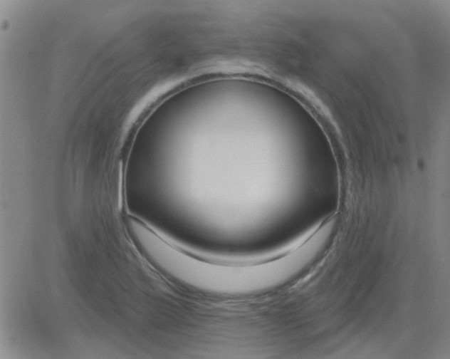 X0000083991175200703021931