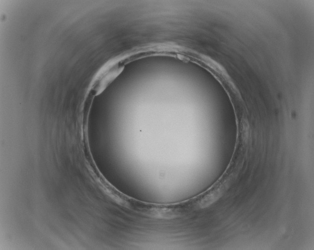 X0000083991176200703021931