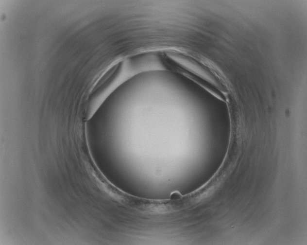 X0000083991177200703021931