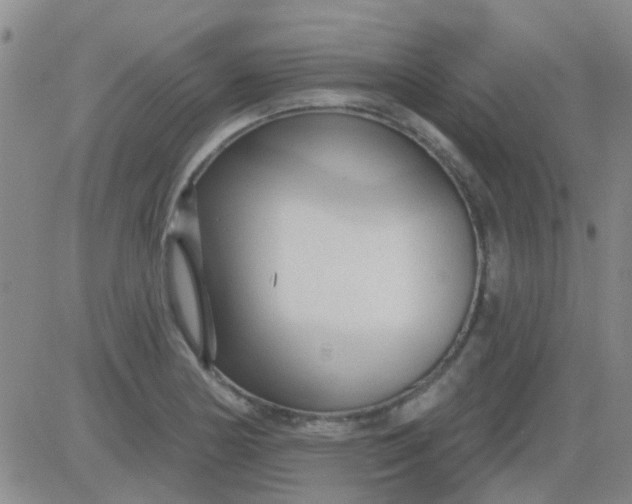 X0000083991178200703021931