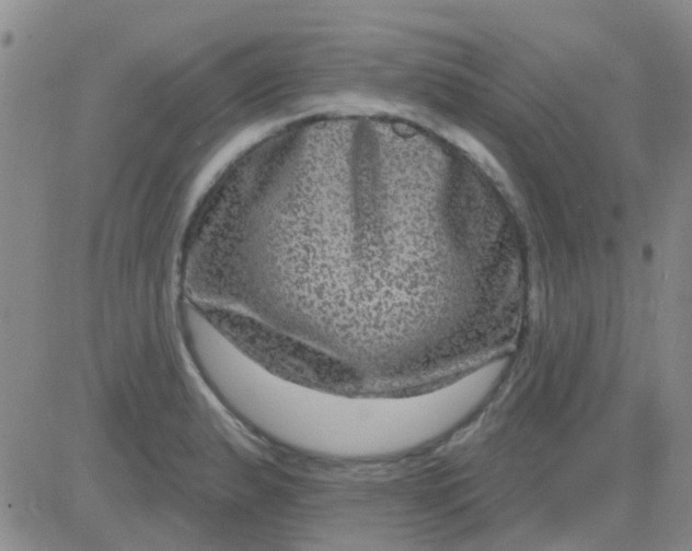 X0000083991183200703021931