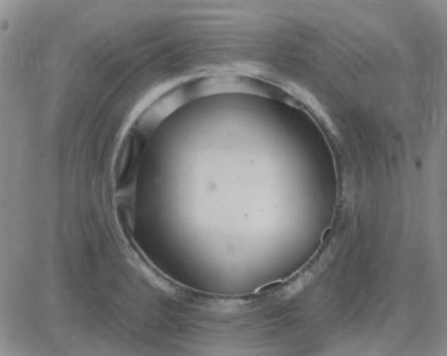 X0000083991184200703021931