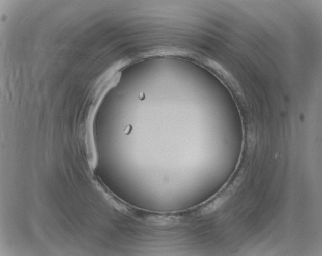 X0000083991185200703021931