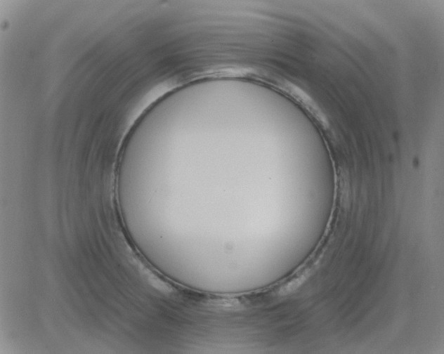 X0000083991186200703021931