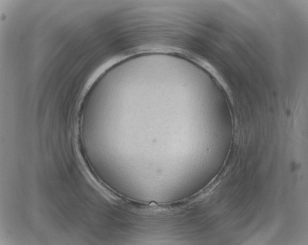 X0000083991187200703021931