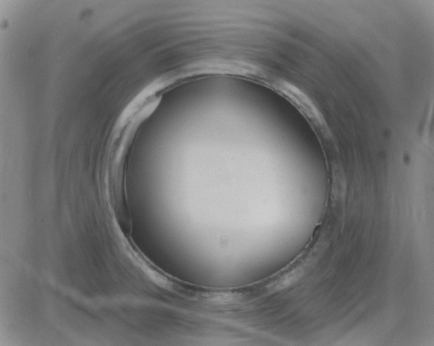 X0000083991188200703021931