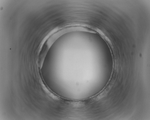 X0000083991189200703021931