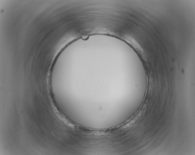 X0000083991190200703021931