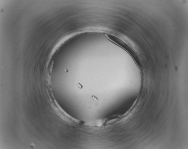 X0000083991192200703021931