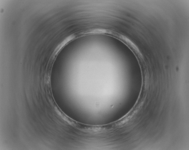 X0000083991193200703021931