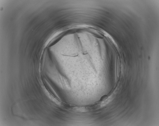 X0000083991194200703021931