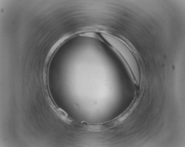 X0000083991196200703021931