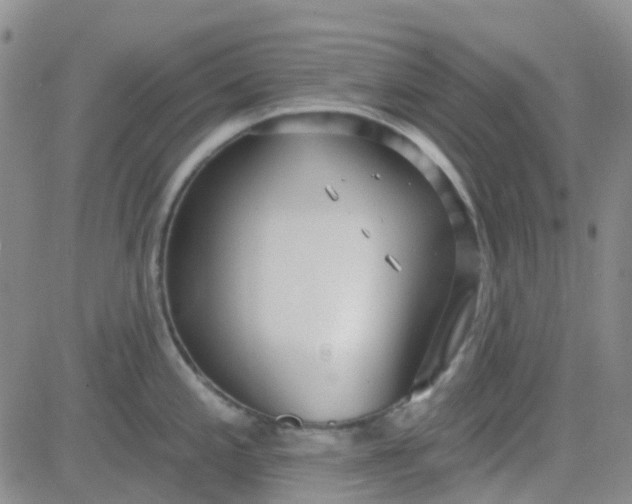 X0000083991197200703021931