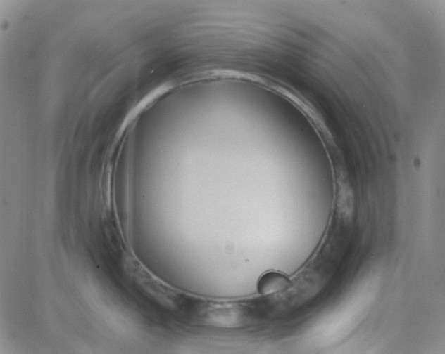 X0000083991198200703021931