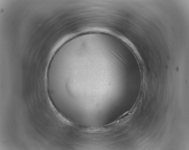 X0000083991199200703021931