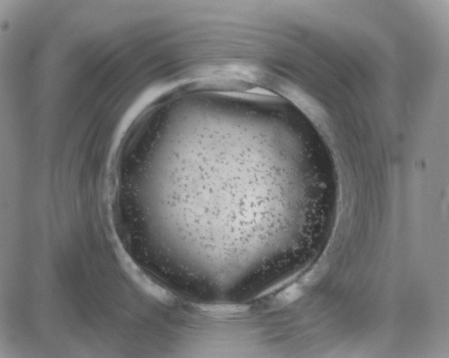 X0000083991200200703021931