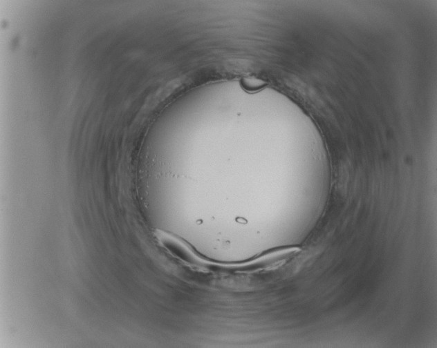 X0000083991201200703021930