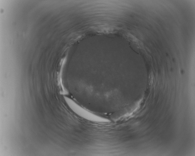 X0000083991202200703021930