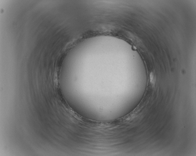 X0000083991203200703021930