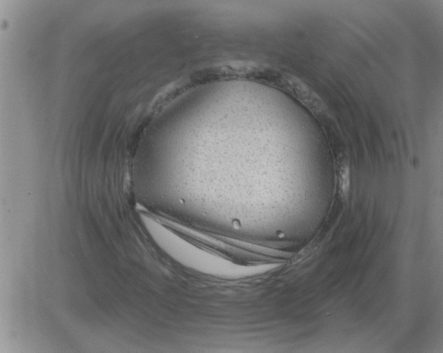 X0000083991204200703021930