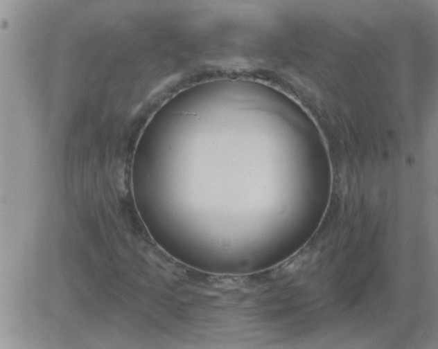 X0000083991205200703021930