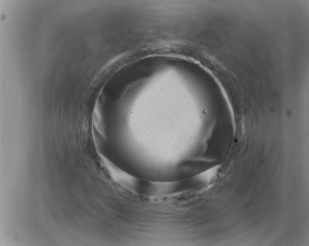 X0000083991206200703021930