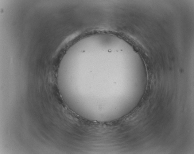 X0000083991207200703021930