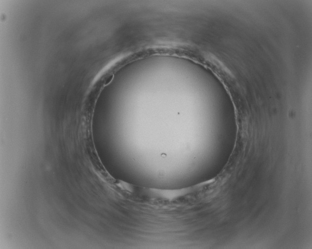 X0000083991208200703021930