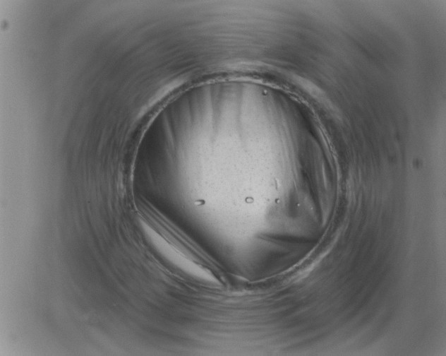 X0000083991209200703021930