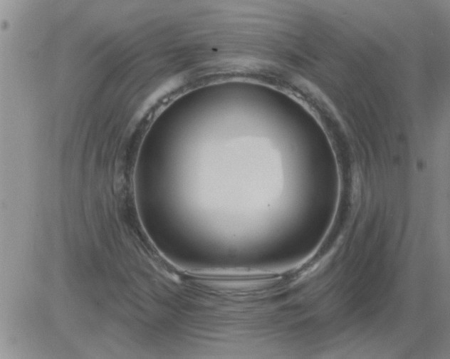 X0000083991210200703021930