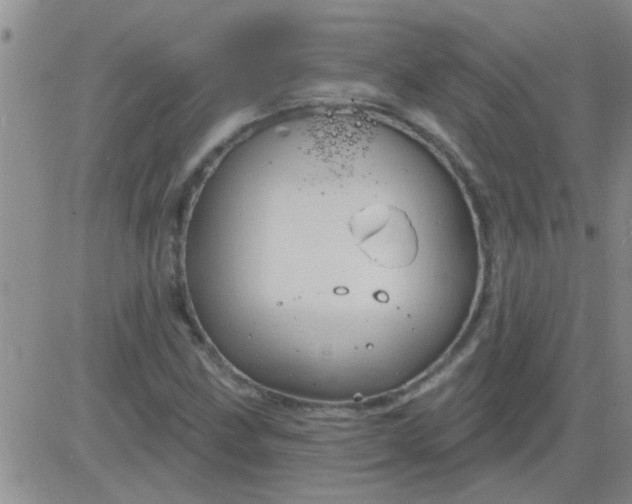 X0000083991211200703021930